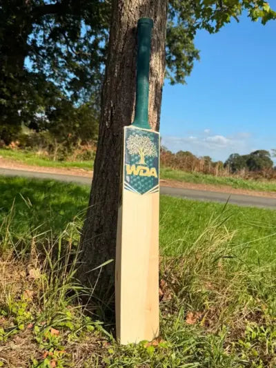 SIZE 5 BATS
