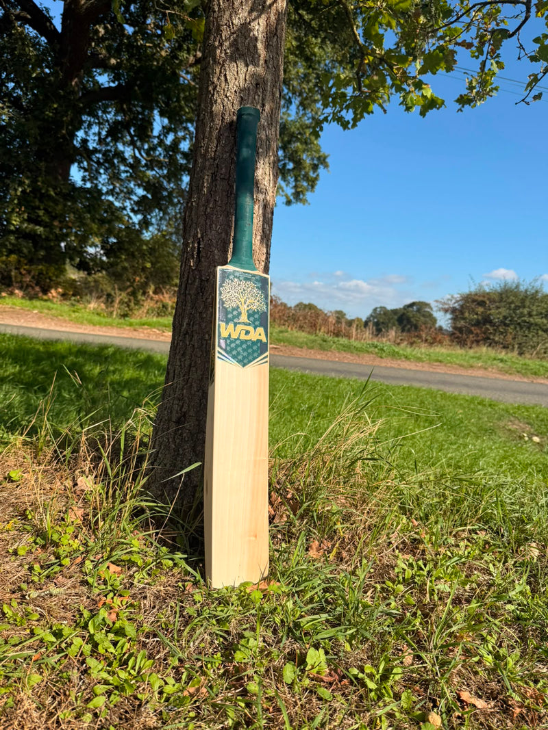 SIZE 5 BATS