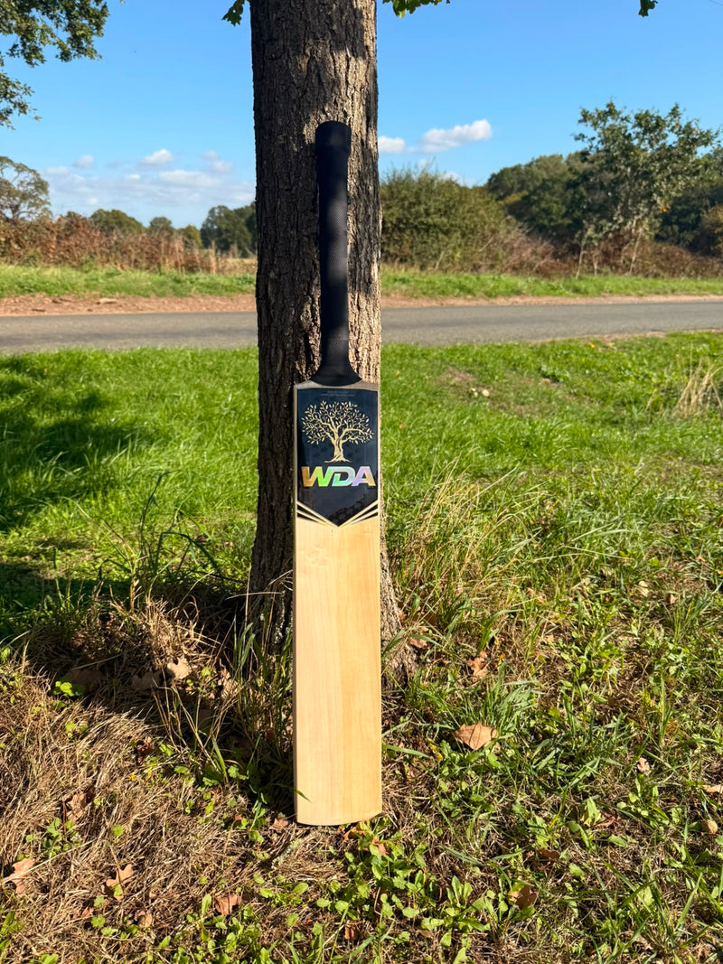 SIZE 6 BATS