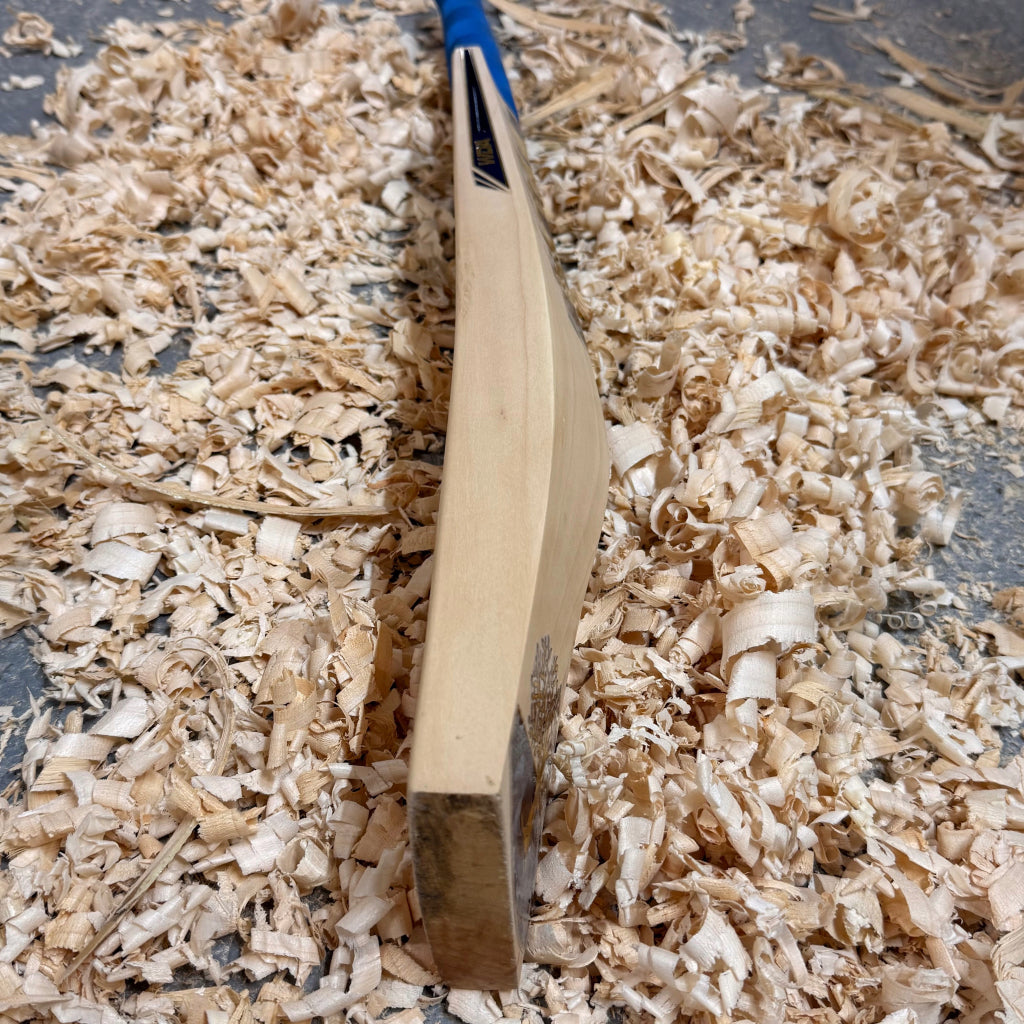 WDA Willow Performance Cricket Bat SH