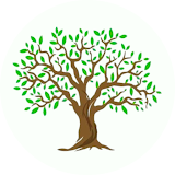 WDA Willow