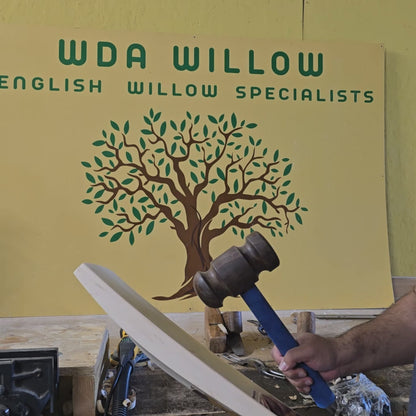 WDA Willow Performance Cricket Bat SH