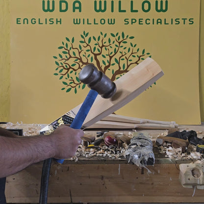 WDA Willow Performance Cricket Bat SH