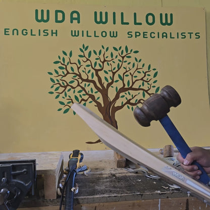 WDA Willow Toap Cricket Bat SH