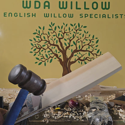 WDA Willow Bandookha Cricket bat SH