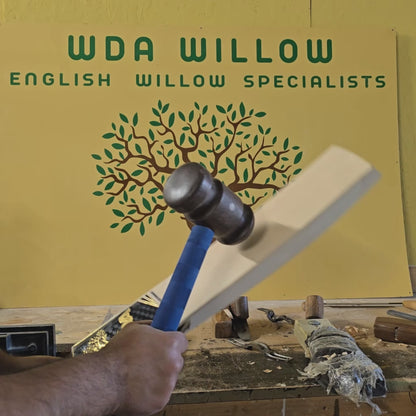 WDA Willow Performance Cricket Bat SH