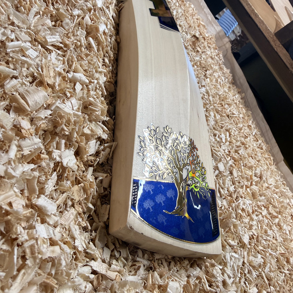 WDA Willow size 4 cricket bat