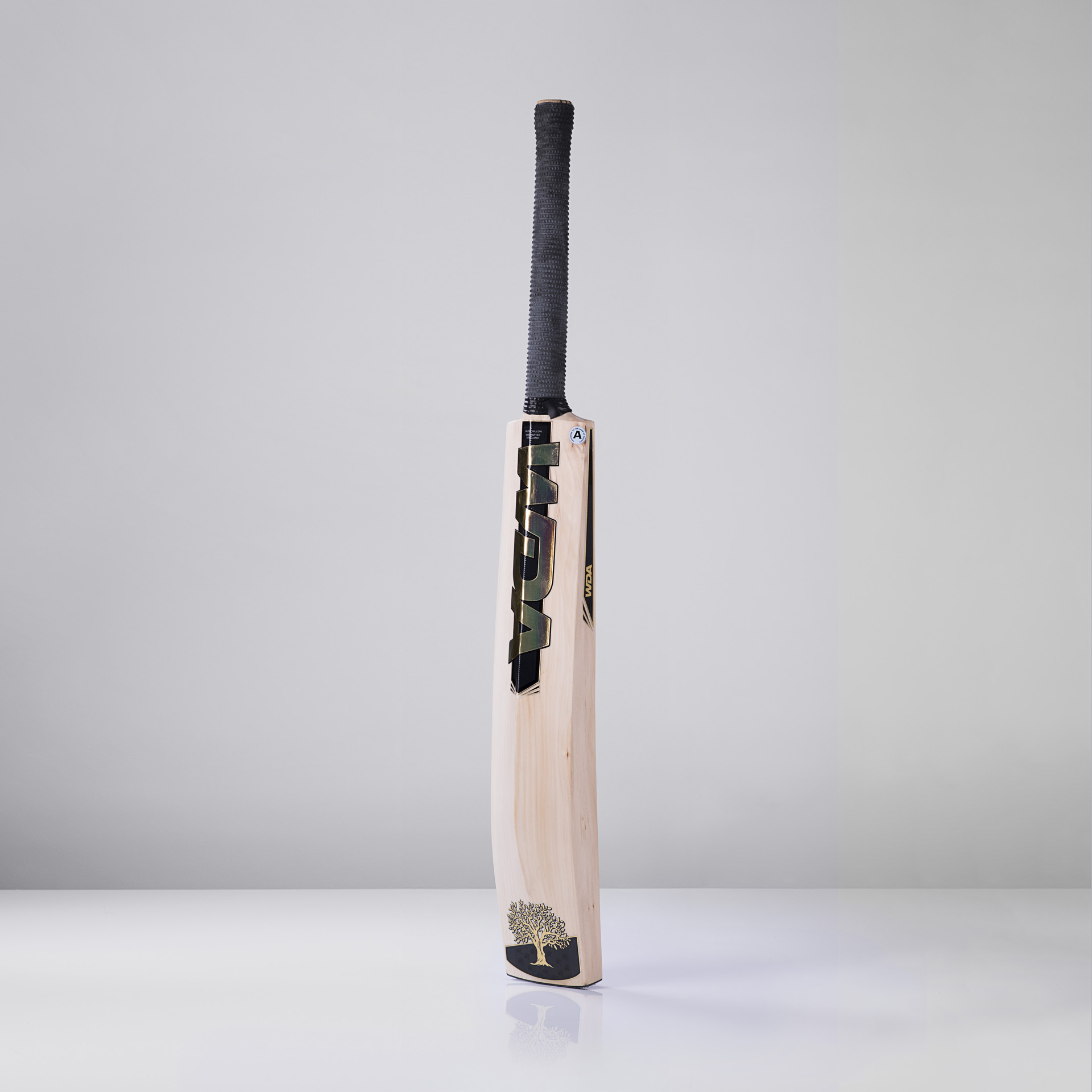 Performance - Image 2