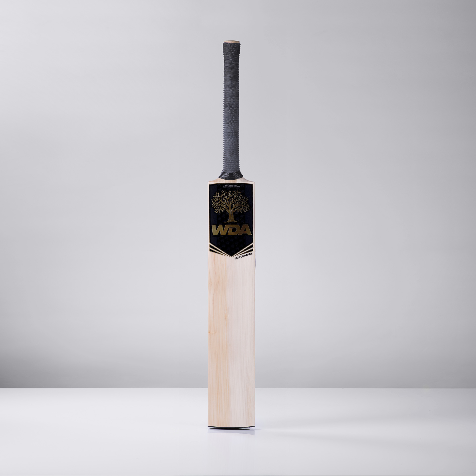 Performance - Image 3