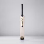 Nashay &ndash; WDA-N