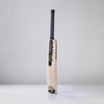 Performance &ndash; WDA-P