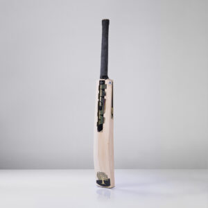 Performance – WDA-P